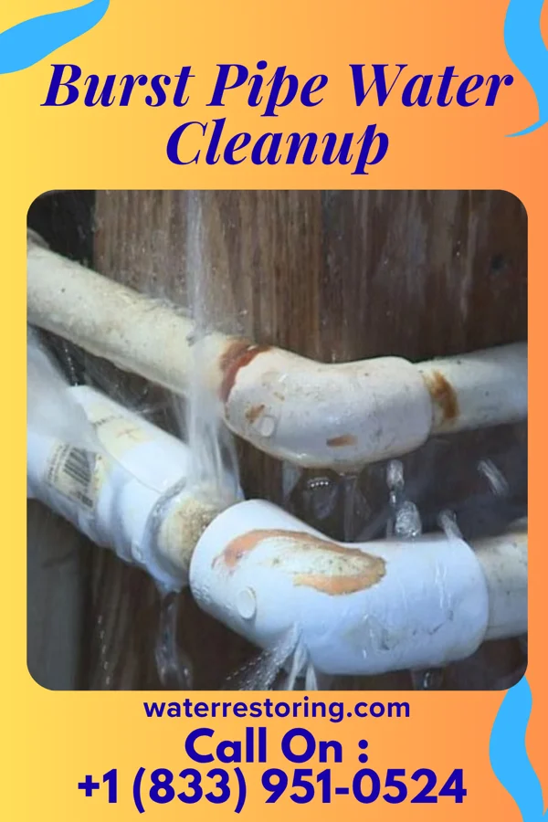 Burst Pipe Water Cleanup in Saddle Rock Estates, NY