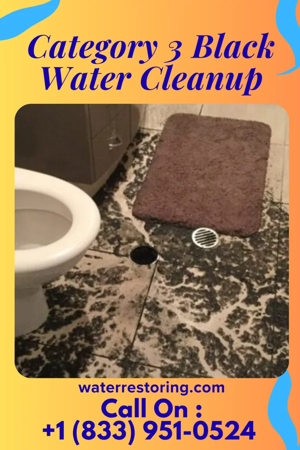 Category 3 Black Water Cleanup in Saddle Rock Estates, NY