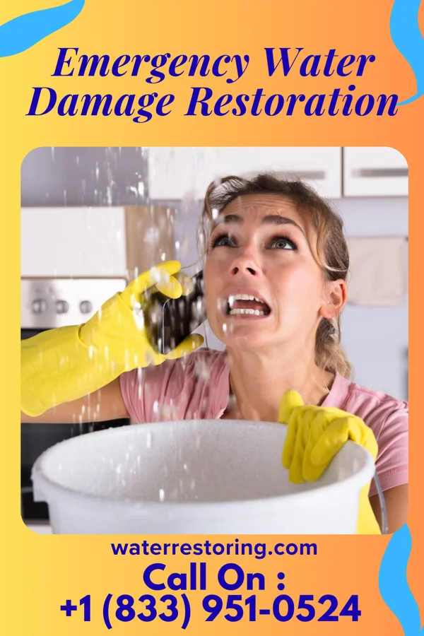 Emergency Water Damage Restoration in Saddle Rock Estates, NY