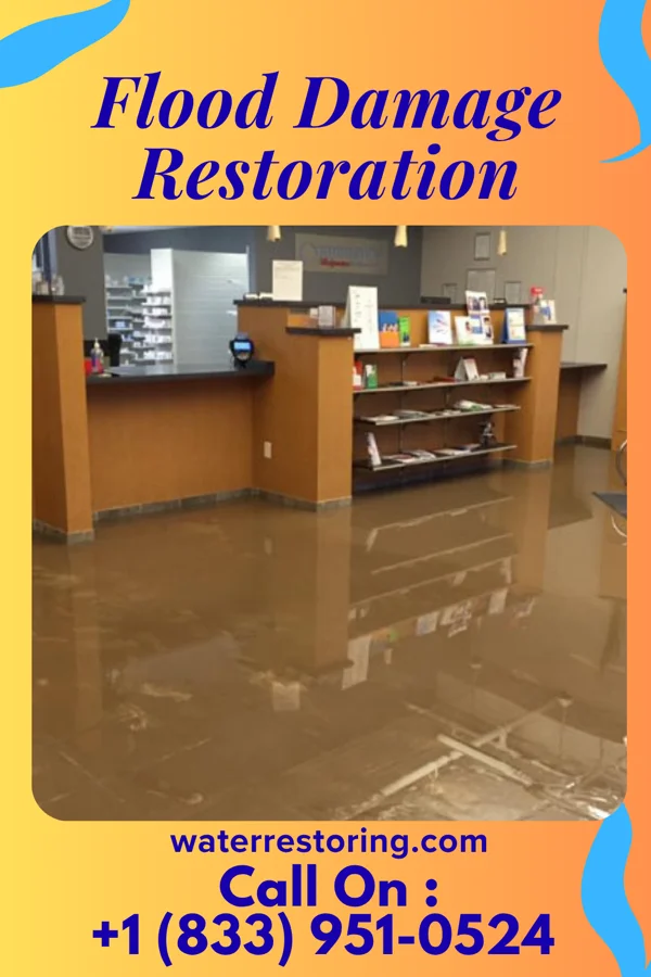 Flood Damage Restoration in Saddle Rock Estates, NY