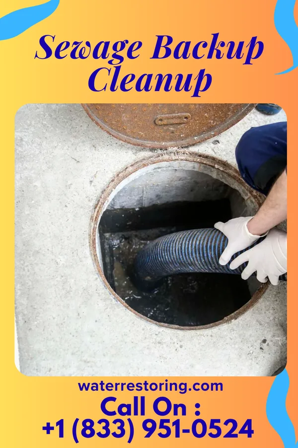 Sewage Backup Cleanup in Saddle Rock Estates, NY