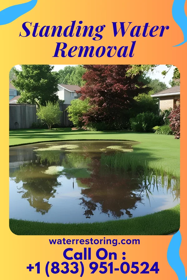 Standing Water Removal in Saddle Rock Estates, NY